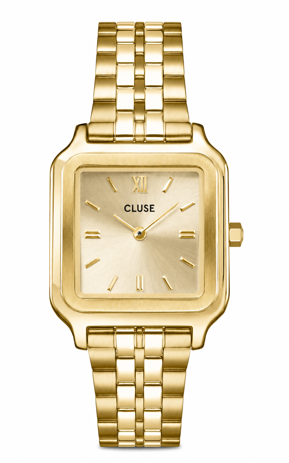 Orologio da Donna Gracieuse Watch Cluse CLU CW11902