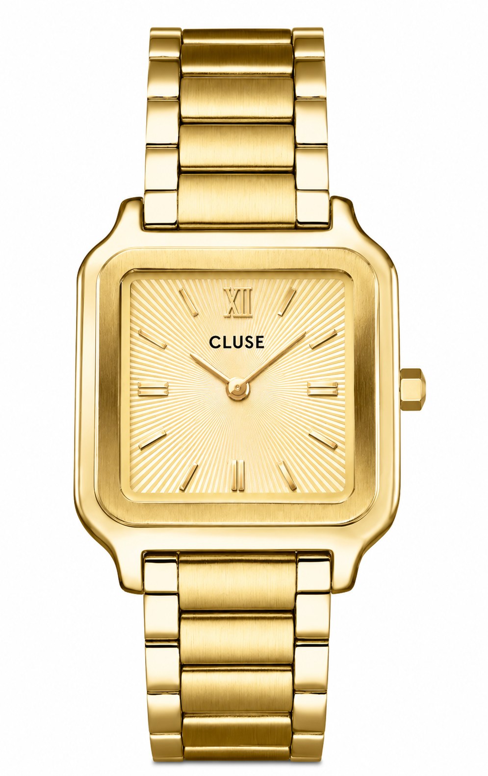 Orologio da Donna Gracieuse Watch Cluse CLU CW11911